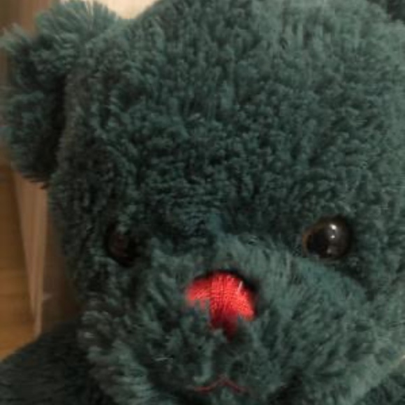 RETIRED BUILD A BEAR - GREEN BEAR WITH PLAID HEART, PAW PADS - Picture 5 of 6